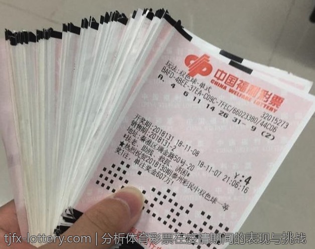 大乐透中奖信息的深度查询与分析